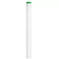 Tubo fluorescente F-20 T12 2 Pines