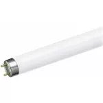 Tubo fluorescente FO32/765 T8 6500K