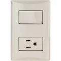 Tomacorriente e interruptor 15A 110V marfil Plata Eagle 1006-V