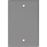 Placa ciega de acero para intemperie 4” x 2” gris UL